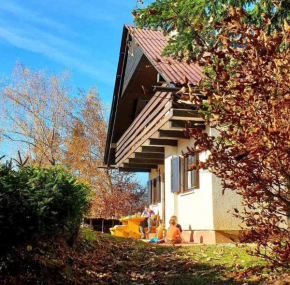 Pet & Family Friendly House Viktorija - house near Golica with Triglav view Jesenice